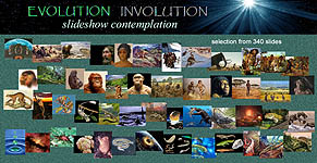 Image Map preview from 340 slides in Evolution Involution Slideshow