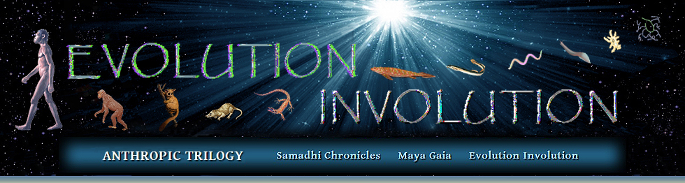 evolution involution introduction evolution involution introduction